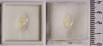 Опал белый, галтовка. Размер 14,5х8,3х3,2 мм. 1,82 ct .  Австралия № 10.3