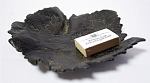 Пепельница Кленовый лист, чугун, Касли, 1958 г, 