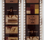 Диафильм Тигров племянник 1971 г (67)
