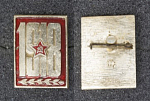 Значок Звезда 1918 (10)