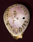 Ракушка с надписью Севастополь 1912 г. 15х9,5х6 см