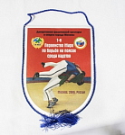 Вымпел I первенство мира по борьбе на поясах среди кадетов, Москва 2008г, размер 22х19 см (19)