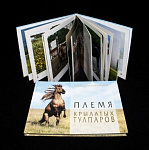 Книга фотоальбом Племя Крылатых Тулпаров , Рамиль Кильмаматов (6)