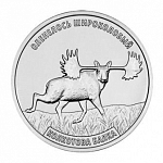 Монета 3 рубля  2026 г. Приднестровье Оленелось широколобый
