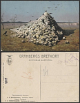 Почтовая карточка  Верещагин Апофеоз войны  (3460)