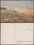Почтовая карточка  Ержец. На лугу   (3088)
