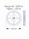 Капсула пластиковая для монет внутренний d 20 мм внешний диаметр 44 мм