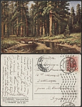 Открытое письмо  Шишкин. Корабельная роща  (2106)