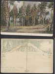 Почтовая карточка И.И.Шишкин "Поляна с соснами" (1249)